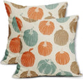 Brown Orange Light Blue Pumpkin Fall Pillow Covers 24x24 Set of 2 Autumn Harvest Print Thanksgiving Decorative Throw Pillows Outdoor Farmhouse Cushion Case Seasonal Decor for Couch Sofa Bed by Aytipun