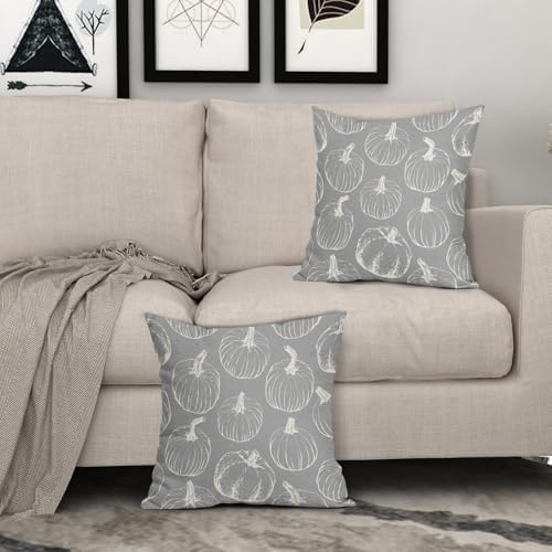 Grey Gray Fall Pumpkin Pillow Covers 22x22 Set of 2 Autumn Themed Thanksgiving Cream Print Decorative Throw Pillows Outdoor PillowCase Farmhouse Linen Cushion Case Decor for Home Sofa Couch Bed - Image 3