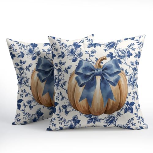 Fall Pumpkin Pillow Covers 16x16 Set of 2 Porcelain Highly Absorbent - Image 2