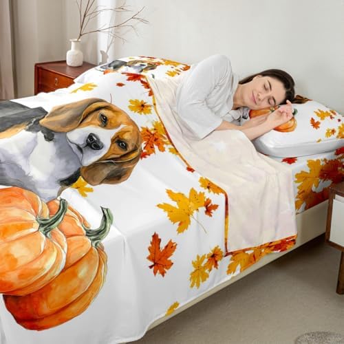 Fall Pumpkin Sheet Set Retro Watercolor Sausage Dog Fitted Sheet Full Thanksgiving Harvest Seasonal Bed Sheets for Kids Boys Girls,Happy Fall Maple Leaf Bedding Soft Flat Sheeet Orange 4 Pcs by Erosebridal