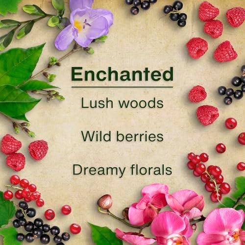 LITTLE TREES Car Air Freshener, 8 Count (Pack of 3), Enchanted