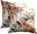 Fall Thanksgiving Pillow Covers 22x22 Set of 2 Colorful Pumpkin Wheat Leaves Pinecones Outdoor Throw Pillows Covers Autumn Harvest Decorative Farmhouse Cushion Case for Room Couch Sofa by Unknown