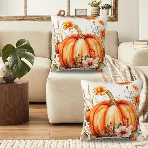 KiuLoam Fall Orange Pumpkin Pillow Covers 24x24 Inch Set of 2, Floral Autumn Thanksgiving Print Decorative Throw Pillows, Rustic Farmhouse Outdoor Cushion Covers for Living Room Sofa Couch Bedroom - Image 4