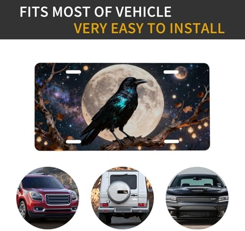 Raven Moon Crow Starry Sky Cool Front License Plate 6x12 Inch