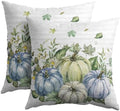 Fall Pumpkin Pillow Covers 24x24 Set of 2 Watercolor Highly Absorbent by Unknown