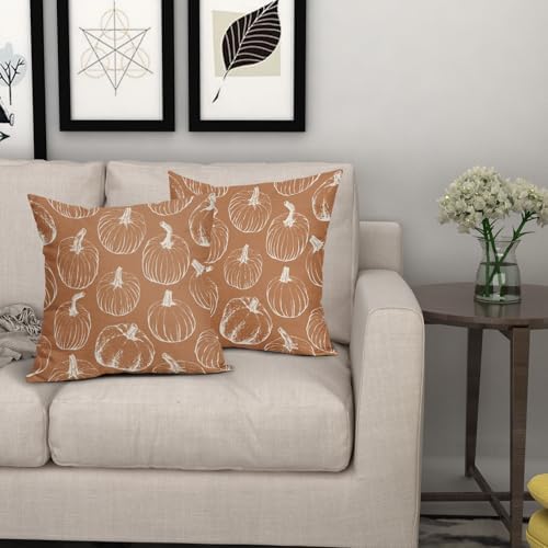 Burnt Orange Pumpkin Fall Pillow Covers 22x22 Set of 2 Autumn Themed Thanksgiving Harvest Print Decorative Throw Pillows Outdoor Farmhouse Pillowcases Cushion Case Seasonal Decor for Couch Sofa Bed - Image 7