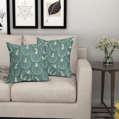Light Blue Fall Pumpkin Pillow Covers 18x18 Set of 2 Autumn Themed Thanksgiving Cream Print Decorative Throw Pillows Outdoor PillowCase Farmhouse Linen Cushion Case Decor for Home Sofa Couch Bed - Image 7