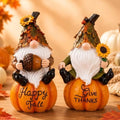 Topadorn Fall Gnomes Figurines Set of 2, Pumpkin Thanksgiving Decor by Topadorn