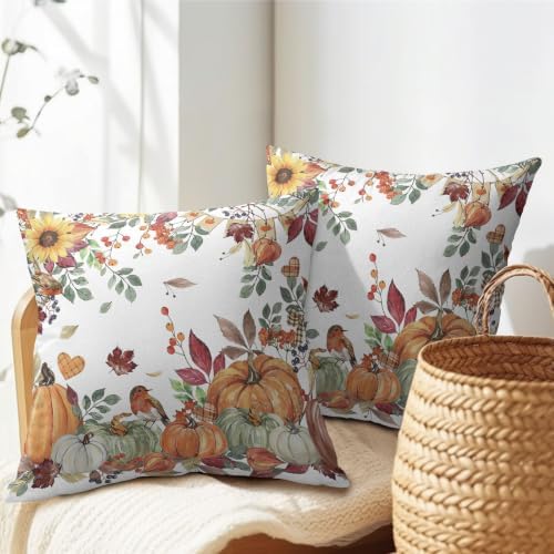 Fall Pumpkin Pillow Covers 18x18 Set of 2 Autumn Caramel Maple Leaves Bird Floral Outdoor Throw Pillows Covers Thanksgiving Harvest Decorative Farmhouse Cushion Case for Living Room Couch Sofa - Image 7