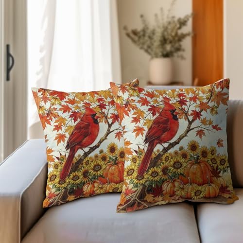 Fall Red Cardinal Bird Pillow Covers 18x18 Set of 2 Sunflower Thanksgiving Harvest Maple Leaves Throw Pillow Covers Pumpkin Pillowcase for Kitchen Outdoor Couch Bedroom Living Room Party Decoration - Image 3