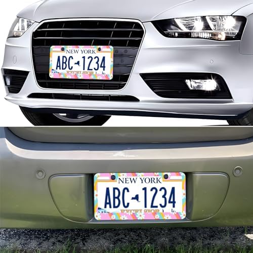 Summer Daisy Flowers Waves License Plate Frames, 2 Pack Summer Daisy Car Plate Frame, Stainless Steel License Plate Holders Covers with Free Screws Fasteners Caps (Summer Daisy Waves)
