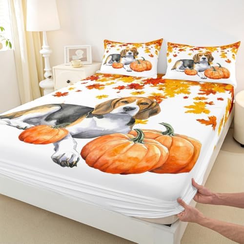 Fall Pumpkin Sheet Set Retro Watercolor Sausage Dog Fitted Sheet Full Thanksgiving Harvest Seasonal Bed Sheets for Kids Boys Girls,Happy Fall Maple Leaf Bedding Soft Flat Sheeet Orange 4 Pcs - Image 6