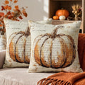 Fall Pillow Covers 16x16 Set of 2, Vintage Pumpkin Autumn Themed Thanksgiving Decorative Throw Pillow Cases Outdoor Rustic Seasonal Farmhouse Decor for Sofa Couch Bed by Unknown