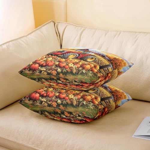 Farm Tractor Pillow Covers Pack of 2,Autumn Harvest Thanksgiving Day Rustic Cabin Double Sides Print Cushion Covers,Orange Pumpkin Marple Trees Wheat Square Couch Pillow Covers,24"x 24" - Image 3