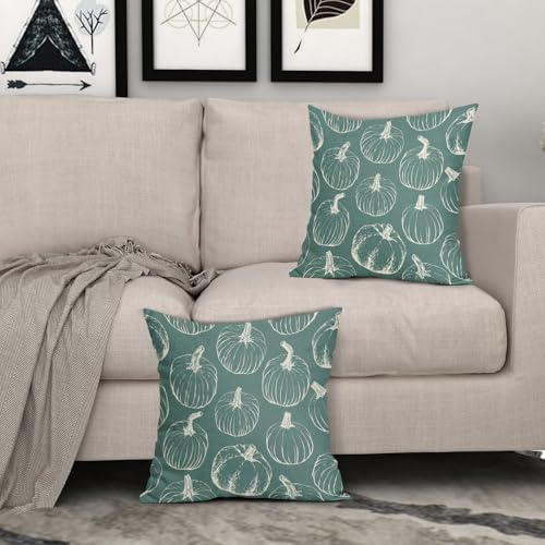 Light Blue Fall Pumpkin Pillow Covers 18x18 Set of 2 Autumn Themed Thanksgiving Cream Print Decorative Throw Pillows Outdoor PillowCase Farmhouse Linen Cushion Case Decor for Home Sofa Couch Bed - Image 3