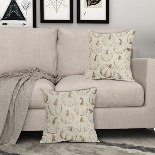Brown Pumpkin Fall Pillow Covers 18x18 Set of 2 Autumn Themed Thanksgiving Harvest Print Decorative Throw Pillows Outdoor Farmhouse Pillowcases Cushion Case Seasonal Decor for Couch Sofa Bed - Image 3
