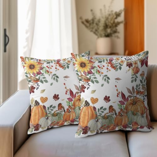 Fall Pumpkin Pillow Covers 18x18 Set of 2 Autumn Caramel Maple Leaves Bird Floral Outdoor Throw Pillows Covers Thanksgiving Harvest Decorative Farmhouse Cushion Case for Living Room Couch Sofa - Image 3