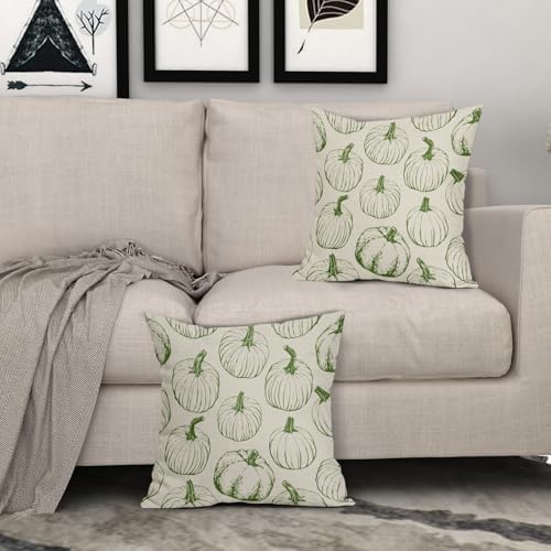 Green Pumpkin Fall Pillow Covers 16x16 Set of 2 Autumn Themed Thanksgiving Harvest Print Decorative Throw Pillows Outdoor Farmhouse Pillowcases Cushion Case Seasonal Decor for Couch Sofa Bed - Image 3