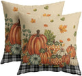 Fall Pumpkins Throw Pillow Covers 16x16 Set of 2 Autumn Polka Dot Pumpkin Thanksgiving Pillow Covers Buffalo Plaid Maple Leaves Pillowcase Vintage for Kitchen Sofa Cushion Outdoor Bedroom Decoration by Trongr
