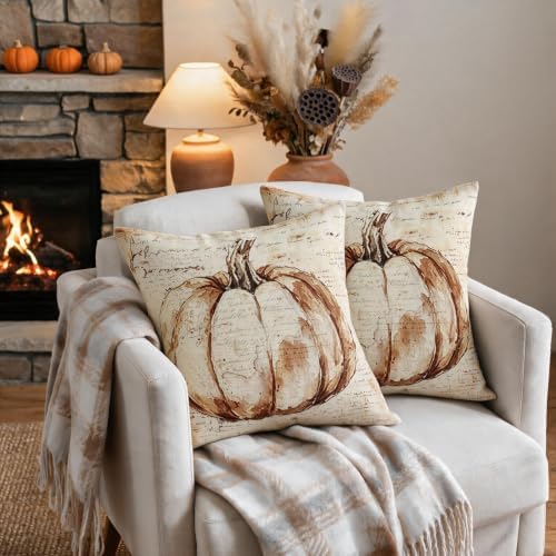 Vintage Fall Pumpkin Pillow Covers 20x20 Set of 2, Autumn Harvest Themed Thanksgiving Decorative Throw Pillow Cases Outdoor Rustic Seasonal Farmhouse Decor for Sofa Couch Bed - Image 3