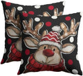 Merry Christmas Reindeer Pillow Covers 24x24 Set of 2 Highly Absorbent by Unknown