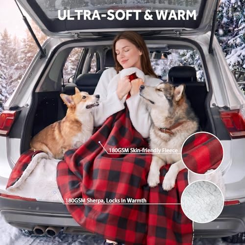 Sealy 12-Volt Electric Portable Heated Car Blanket, 59"x43", Red Plaid