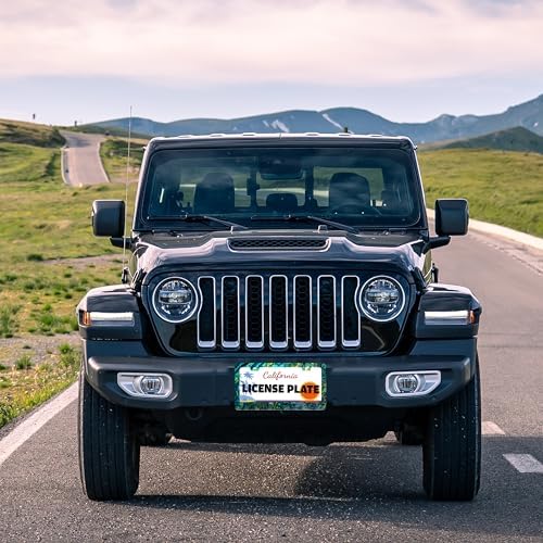 2 Pack Faux Abalone License Plate Frame Stainless Steel 6.3 X 12.2 Inch