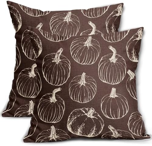 Fall Pumpkin Pillow Covers 18x18 Set of 2 Dark Brown Autumn Thanksgiving Harvest Print Decorative Throw Pillows Seasonal Themed Outdoor Pillowcase Farmhouse Cushion Case Decor for Home Sofa Couch Bed by Aytipun