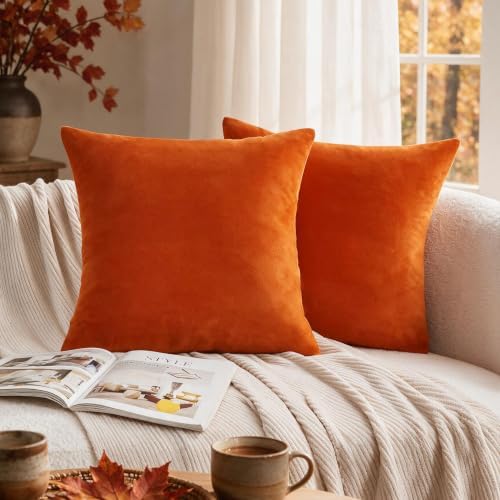 VAKADO Burnt Orange Velvet Fall Throw Pillow Covers Rust Autumn Thanksgiving Square Cozy Soft Solid Decorative Cushion Cases Home Decor for Couch Sofa Bedroom Car Set of 2,22x22 Inches - Image 2