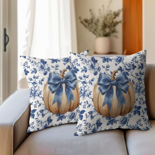 Fall Pumpkin Pillow Covers 16x16 Set of 2 Porcelain Highly Absorbent - Image 3