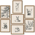 Nursery Wall Art Woodland Animal Canvas Wall Decor Baby Room Pictures Forest Animal Prints Kids Wall Art Pine Tree Poster Nature Vintage Artwork Deer Fox Painting for Bedroom 8x10x7 Inch Framed by Unknown