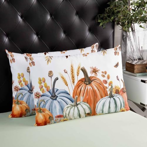 Pillow Covers 20x36 Inch - King Fall Thanksgiving Pumpkin Rustic Sunflower Botanical Leaves Soft Brushed Microfiber Pillowcases with Hidden Zipper Closure Bed Pillow Shams for Bedroom Sofa Car - Image 3