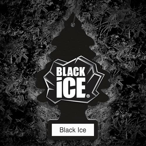 LITTLE TREES Car Air Freshener, 4 Count (Pack of 6), Black Ice