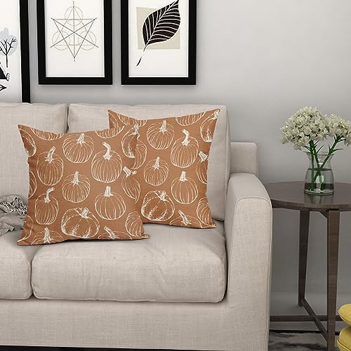 Fall Pumpkin Pillow Covers 18x18 Set of 2 Autumn Themed Thanksgiving Harvest Burnt Orange Print Decorative Throw Pillows Outdoor PillowCase Farmhouse Linen Cushion Case Decor for Home Sofa Couch Bed - Image 7