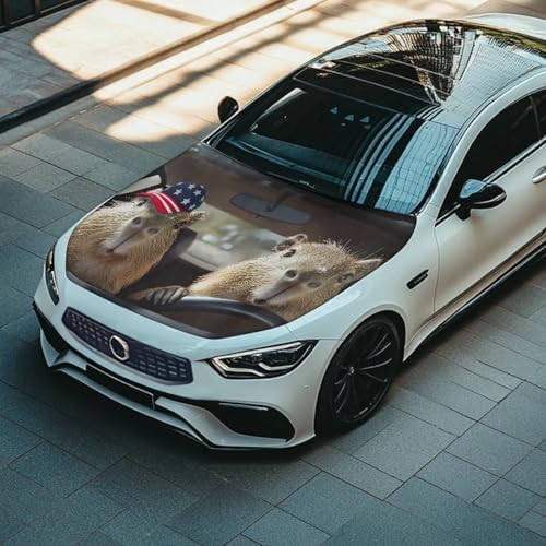 Funny Capibala Hood Wraps for Cars Hood Wrap Protector Washable Car Hook Elastic Fabrics Can be Washed Hook Wraps