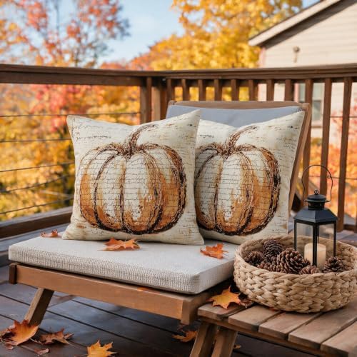 Fall Pillow Covers 22x22 Set of 2, Vintage Pumpkin Autumn Themed Thanksgiving Decorative Throw Pillow Cases Outdoor Rustic Seasonal Farmhouse Decor for Sofa Couch Bed - Image 6