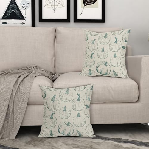 Light Blue Pumpkin Fall Pillow Covers 20x20 Set of 2 Autumn Themed Thanksgiving Harvest Print Decorative Throw Pillows Outdoor Farmhouse Pillowcases Cushion Case Seasonal Decor for Couch Sofa Bed - Image 3