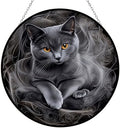 Easter Gray Cat Stained Glass Suncatcher Window Hanging, Gothic Christmas Ornaments for Fiction Lovers, Dinosaur Room Decor for Nursery New Home Gifts by HYPESTYLE