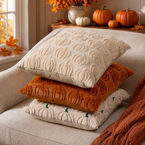DFXSZ Fall Pillow Covers 22x22 2Pcs Beige Pumpkin Fall Decorations for Home - Image 4
