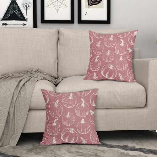 Pink Fall Pumpkin Pillow Covers 24x24 Set of 2 Autumn Themed Thanksgiving Cream Print Decorative Throw Pillows Outdoor Pillowcase Farmhouse Linen Cushion Case Decor for Home Sofa Couch Bed - Image 3