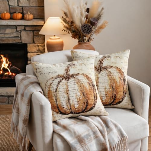 Fall Pillow Covers 22x22 Set of 2, Vintage Pumpkin Autumn Themed Thanksgiving Decorative Throw Pillow Cases Outdoor Rustic Seasonal Farmhouse Decor for Sofa Couch Bed - Image 3