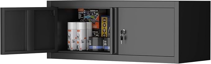 LUCYPAL Garage Storage Cabinet, Metal Wall Storage Cabinet by HomeOfficeFurniture