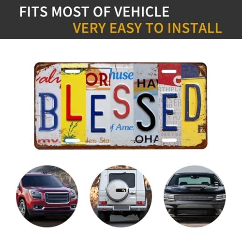 Front License Plate 6" * 12" for Women Lake Days Recharge The Soul