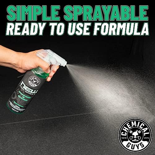 Chemical Guys, New Car Smell Air Freshener & Odor Neutralizer Spray, 16 oz