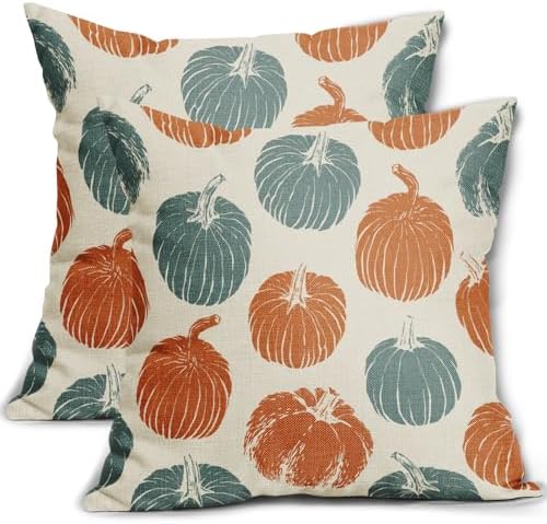 Light Blue Orange Pumpkin Fall Pillow Covers 20x20 Set of 2 Autumn Harvest Print Thanksgiving Decorative Throw Pillows Outdoor Farmhouse Cushion Case Seasonal Decor for Couch Sofa Bed by Aytipun