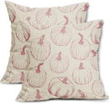 Pink Pumpkin Fall Pillow Covers 24x24 Set of 2 Autumn Themed Thanksgiving Harvest Print Decorative Throw Pillows Outdoor Farmhouse Pillowcases Cushion Case Seasonal Decor for Couch Sofa Bed by Aytipun