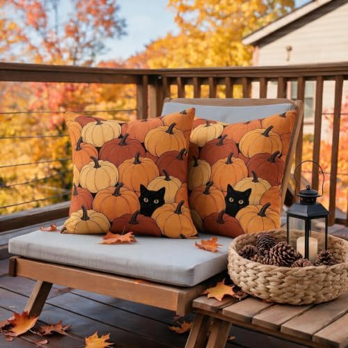 Fall Orange Pumpkin Pillow Covers 22x22 Set of 2, Black Cat Autumn Harvest Thanksgiving Decorative Throw Pillow Cases Holiday Outdoor Seasonal Farmhouse Decor for Sofa Couch Bed - Image 6