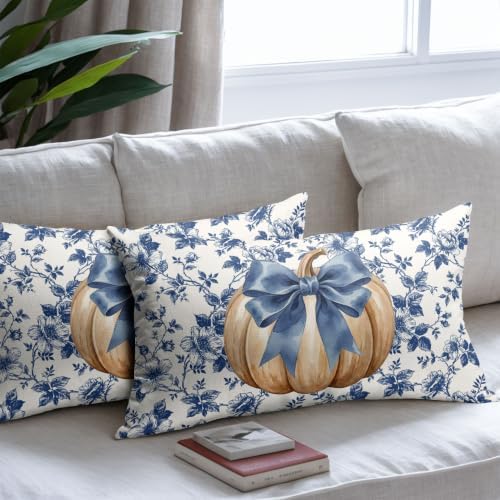 Fall Pumpkin Pillow Covers 12x20 Set of 2 Porcelain Highly Absorbent - Image 7