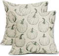Sage Green Pumpkin Fall Pillow Covers 20x20 Set of 2 Autumn Themed Thanksgiving Harvest Print Decorative Throw Pillows Outdoor Farmhouse Pillowcases Cushion Case Seasonal Decor for Couch Sofa Bed by Aytipun