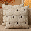 DFXSZ Fall Pillow Covers 18x18 2Pcs Beige Brown Pumpkin Fall Decorations by DFXSZ